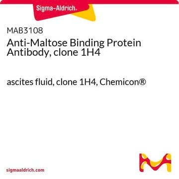 Anti-Maltose Binding Protein Antibody, clone 1H4 ascites fluid, clone 1H4, Chemicon&#174;