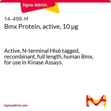 Bmx Protein, active, 10 &#181;g Active, N-terminal His6 tagged, recombinant, full length, human Bmx, for use in Kinase Assays.