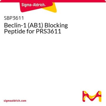 Beclin-1 (AB1) Blocking Peptide for PRS3611