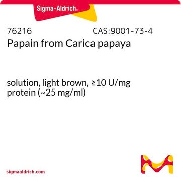 Papain aus Carica papaya solution, light brown, &#8805;10&#160;U/mg protein (~25 mg/ml)