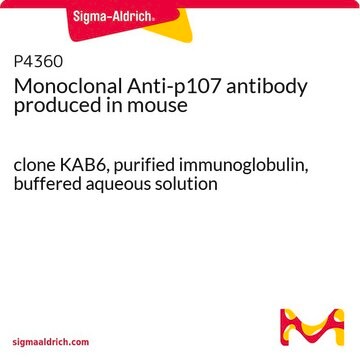 Monoclonal Anti-p107 antibody produced in mouse clone KAB6, purified immunoglobulin, buffered aqueous solution