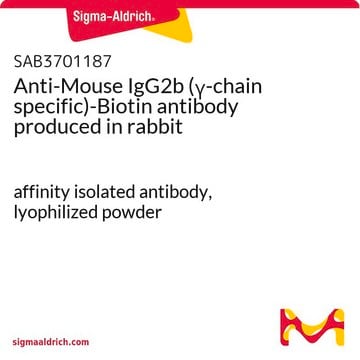 Anti-Mouse IgG2b (&#947;-chain specific)-Biotin antibody produced in rabbit affinity isolated antibody, lyophilized powder