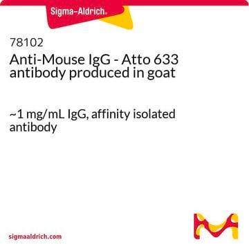 Anti-Maus-IgG&nbsp;– Atto 633 in Ziege hergestellte Antikörper ~1&#160;mg/mL IgG, affinity isolated antibody