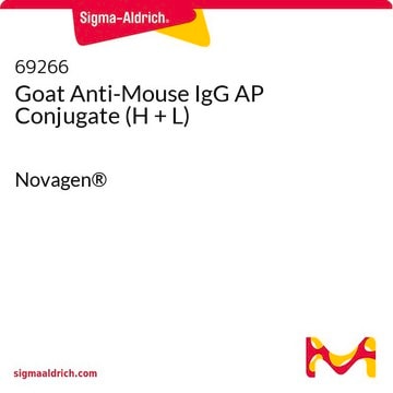 Anti-Maus-IgG-AP-Konjugat der Ziege (H + L) Novagen&#174;