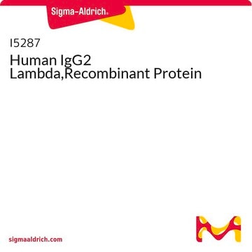 Human IgG2 Lambda,Recombinant Protein