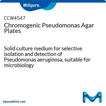 Placas de agar cromógeno para pseudomonas Solid culture medium for selective isolation and detection of Pseudomonas aeruginosa, suitable for microbiology