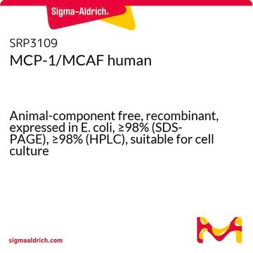 MCP-1/MCAF 人 Animal-component free, recombinant, expressed in E. coli, &#8805;98% (SDS-PAGE), &#8805;98% (HPLC), suitable for cell culture