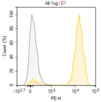 Anti-SLAMF6/NTB-A Antibody, clone NT-7