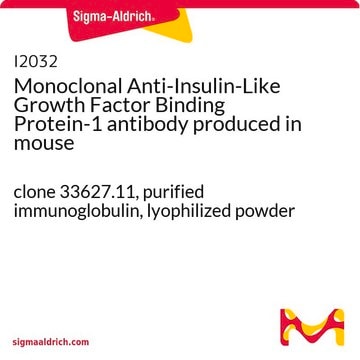 Monoclonal Anti-Insulin-Like Growth Factor Binding Protein-1 antibody produced in mouse clone 33627.11, purified immunoglobulin, lyophilized powder