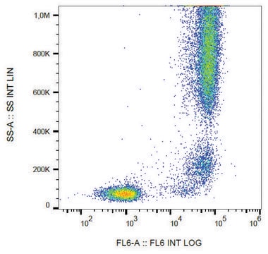 Monoclonal Anti-CD13/Aminopeptidase N antibody produced in mouse clone WM15