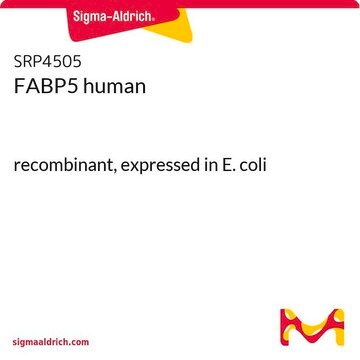 FABP5 human recombinant, expressed in E. coli