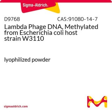 Lambda Phage DNA, Methylated from Escherichia coli host strain W3110 lyophilized powder