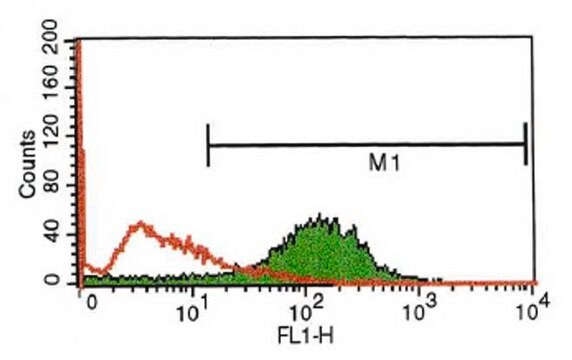 Anti-Endothelial Cell Protein C Receptor antibody, Rat monoclonal clone RCR-379, purified from hybridoma cell culture