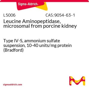 亮氨酸氨基肽酶，微粒体 来源于猪肾脏 Type IV-S, ammonium sulfate suspension, 10-40&#160;units/mg protein (Bradford)