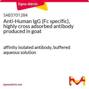 Anti-Human IgG (Fc specific), highly cross adsorbed antibody produced in goat affinity isolated antibody, buffered aqueous solution