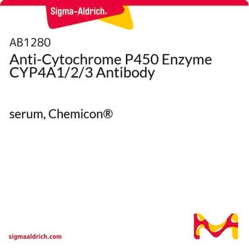 Anti-Cytochrome P450 Enzyme CYP4A1/2/3 Antibody serum, Chemicon&#174;