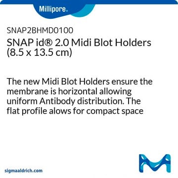 Soportes Midi Blot SNAP id&#174; 2.0 (8,5 x 13,5&nbsp;cm) The new Midi Blot Holders ensure the membrane is horizontal allowing uniform Antibody distribution. The flat profile alows for compact space allocation for storage, shipping &amp; waste management.