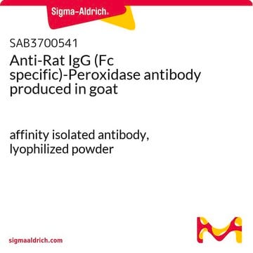 Anti-Rat IgG (Fc specific)-Peroxidase antibody produced in goat affinity isolated antibody, lyophilized powder