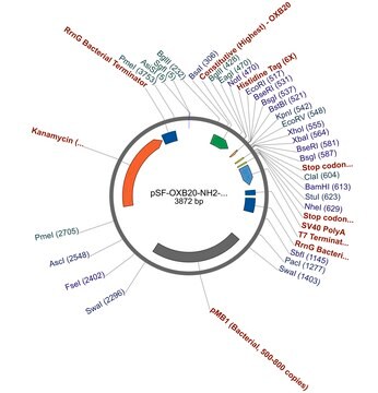 PSF-OXB20-NH2-HIS6 - N-TERMINAL 6 HIS TAG MAMMALIAN PLASMID plasmid vector for molecular cloning