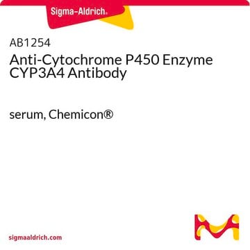 抗细胞色素P450酶CYP3A4抗体 serum, Chemicon® | Sigma-Aldrich