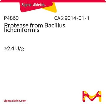 Protease from Bacillus licheniformis &#8805;2.4&#160;U/g