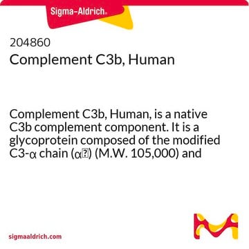 补体C3b，人 Complement C3b, Human, is a native C3b complement component. It is a glycoprotein composed of the modified C3-&#945; chain (&#945;&#697;) (M.W. 105,000) and the intact C3-&#946; chain (M.W. 75,000).