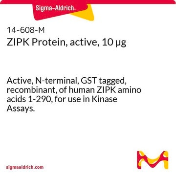 ZIPK Protein, active, 10 &#181;g Active, N-terminal, GST tagged, recombinant, of human ZIPK amino acids 1-290, for use in Kinase Assays.