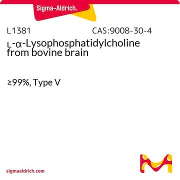 L-&#945;-Lysophosphatidylcholine from bovine brain &#8805;99%, Type V