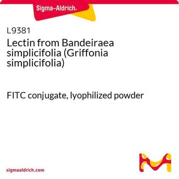 来自西非单叶豆（加纳籽）的凝集素 FITC conjugate, lyophilized powder