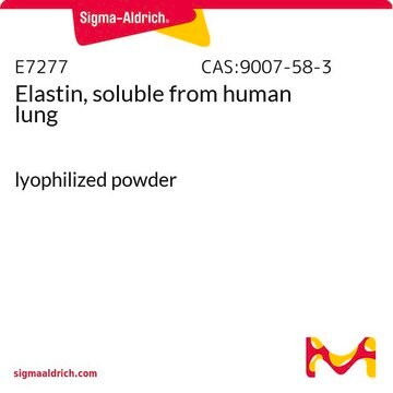 Elastin, soluble from human lung lyophilized powder