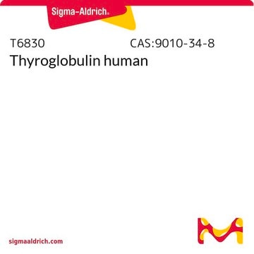 Thyreoglobulin, human