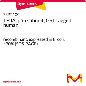 TFIIA, p55 subunit, GST tagged human recombinant, expressed in E. coli, &#8805;70% (SDS-PAGE)