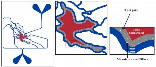 SynVivo SynRAM 3D Inflammation model starter kit, microvascular network configuration, includes pneumatic priming device