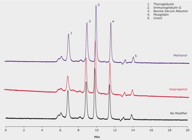 Online SEC/MS Analysis of Proteins on Unix&#8482; SEC-300: Effect of Mobile Phase Modifier application for HPLC