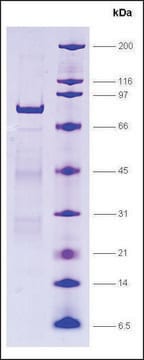 LRH-1, GST tagged human recombinant, expressed in E. coli, &#8805;80% (SDS-PAGE)