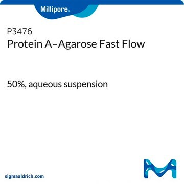 Protein&#160;A–Agarose Fast Flow 50%, aqueous suspension