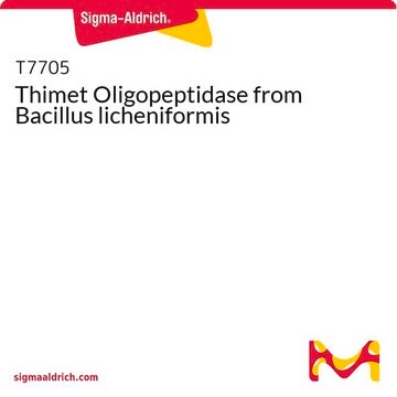 Thimet Oligopeptidase from Bacillus licheniformis