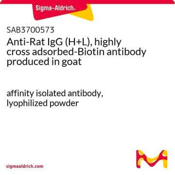 Anti-Rat IgG (H+L), highly cross adsorbed-Biotin antibody produced in goat affinity isolated antibody, lyophilized powder