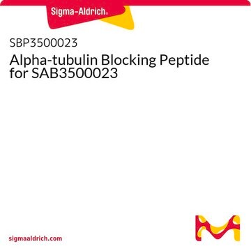 Alpha-tubulin Blocking Peptide for SAB3500023