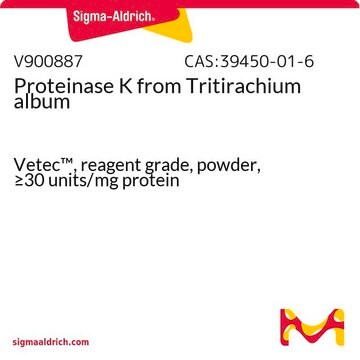 Proteinase&#160;K from Tritirachium album Vetec&#8482;, reagent grade, powder, &#8805;30&#160;units/mg protein