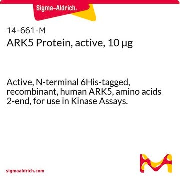 ARK5 Protein, active, 10 &#181;g Active, N-terminal 6His-tagged, recombinant, human ARK5, amino acids 2-end, for use in Kinase Assays.