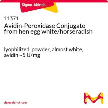 Avidin-Peroxidase Conjugate from hen egg white/horseradish lyophilized, powder, almost white, avidin ~5&#160;U/mg