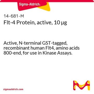 Flt-4 Protein, active, 10 &#181;g Active, N-terminal GST-tagged, recombinant human Flt4, amino acids 800-end, for use in Kinase Assays.