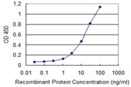 Monoclonal Anti-EIF3S3 antibody produced in mouse clone 3C6, purified immunoglobulin, buffered aqueous solution