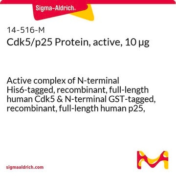 Cdk5/p25 Protein, active, 10 &#181;g Active complex of N-terminal His6-tagged, recombinant, full-length human Cdk5 &amp; N-terminal GST-tagged, recombinant, full-length human p25, for use in Kinase Assays.