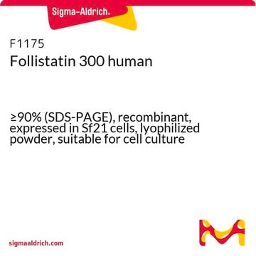 Follistatin 300 human &#8805;90% (SDS-PAGE), recombinant, expressed in Sf21 cells, lyophilized powder, suitable for cell culture