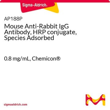 Mouse Anti-Rabbit IgG Antibody, HRP conjugate, Species Adsorbed 0.8&#160;mg/mL, Chemicon&#174;