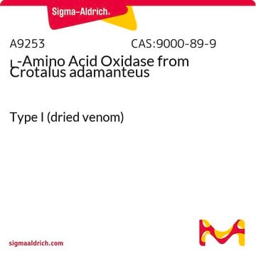 L-Aminosäure-Oxidase aus Crotalus adamanteus Type I (dried venom)