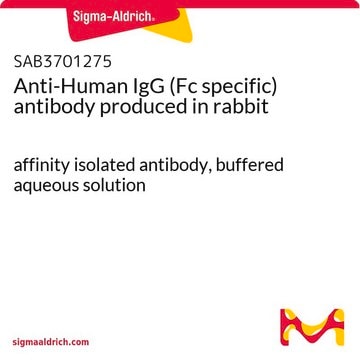 Anti-Human IgG (Fc specific) antibody produced in rabbit affinity isolated antibody, buffered aqueous solution