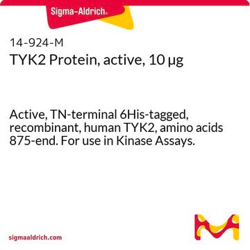 TYK2 Protein, active, 10 &#181;g Active, TN-terminal 6His-tagged, recombinant, human TYK2, amino acids 875-end. For use in Kinase Assays.